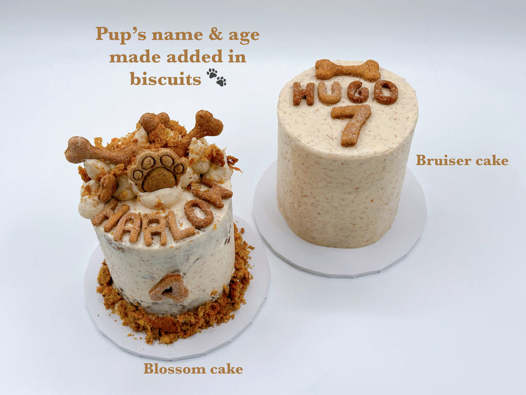 Bruiser's Dog Cake